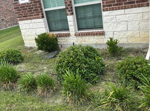 Bush Trimming by Jacob Buelna for Brandon T. in Anna, TX