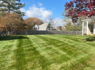 Caity B.'s Lawn Maintenance service result