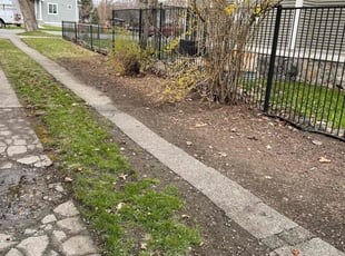 Leaf Removal by Jeff Sidener for Jared H. in Spokane, WA