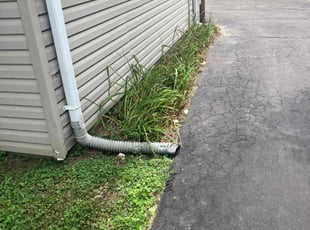 Bush Trimming by Brian Woodward for Matt P. in Florissant, MO