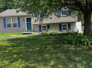 Pat B.'s Lawn Mowing service result