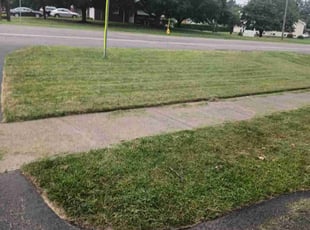 James D.'s Lawn Care service result