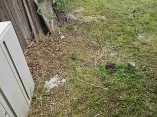 Cleanups by Josh Brown for Dianne M. in Lakewood, CO