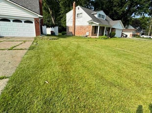 Gloria F.'s Lawn Mowing service result