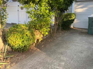 Bush Trimming by Jaime Montero for Julie C. in Rocklin, CA