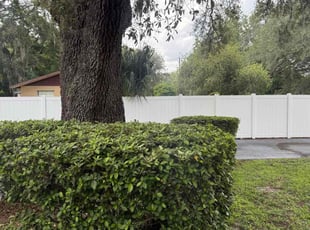 Bush Trimming by Phillip Douglas for Kevin L. in Lady Lake, FL