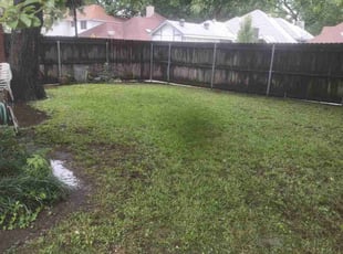 Leaf Removal by Marcus Carranza for Dwight S. in Cedar Hill, TX