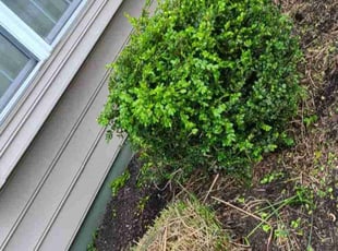 Bush Trimming by Josh Posey for chris h. in Mount Wolf, PA