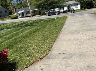 Karen H.'s Lawn Care service result