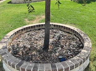 Weeding by Joshua Coleman for Stephenie T. in Haltom City, TX