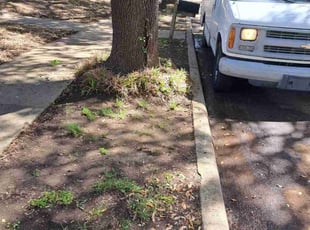 Cleanups by Elizabeth Cruz for Margie b. in Plano, TX