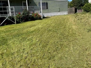 Geniece D.'s Lawn Mowing Service service result