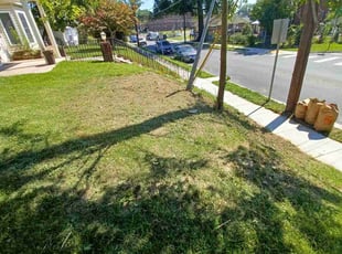 Cleanups by Amber Fuentes for Rebecca M. in Takoma Park, MD