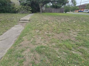 Cleanups by Toni Singsonexay for Kyle C. in San Antonio, TX