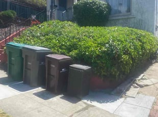Bush Trimming by Michael Leftridge for Kim J. in Oakland, CA