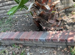 Leaf Removal by Carlos Reyna for Tia Q. in San Bernardino, CA