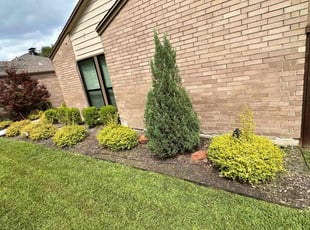 Weeding by Jorge Aguilar for Mark Z. in Dallas, TX