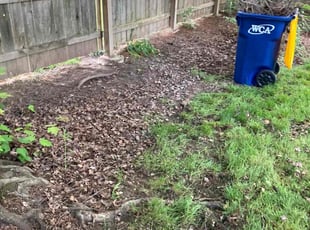 Leaf Removal by Tim Kirkpatrick for Lourdes B. in Lee's Summit, MO
