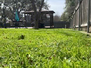 Heather J.'s Yard Cutting service result