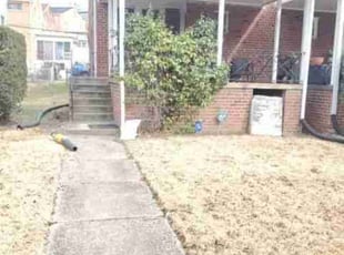 Leaf Removal by Chris Stewart for John P. in Washington, DC
