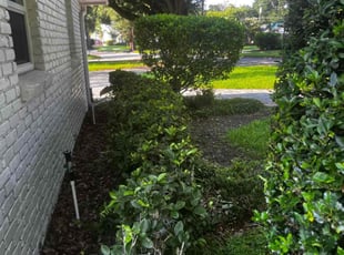 Bush Trimming by Withman Herrera for Dennis B. in Orlando, FL