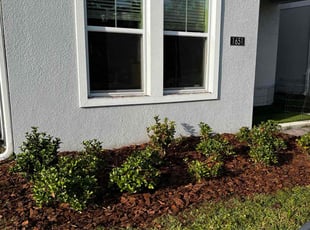 Mulching by James Ramey for Sandeep S. in Kissimmee, FL