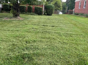 Bush Trimming by Davon Lightfoot for Margaret W. in Richmond, VA
