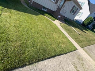 Roxane T.'s Lawn Mowing service result