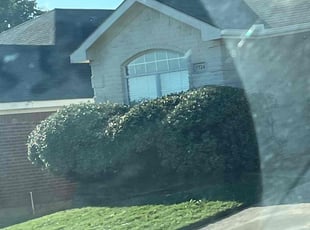 Bush Trimming by Justin Munroe for Dawnya M. in Fort Worth, TX