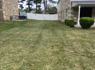 Stephanie H.'s Lawn Care service result