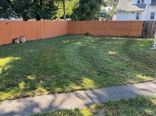 Carmen R.'s Lawn Care service result