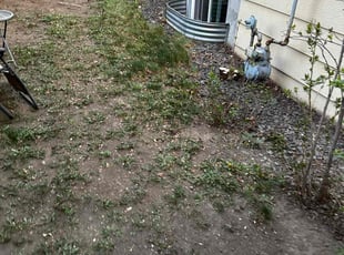 Cleanups by Andrew Fischer for Toni W. in Colorado Springs, CO