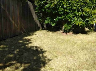Cleanups by Scott Reeves for Josephine C. in Suisun City, CA