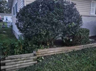 Bush Trimming by Anthony Wagner for Jake D. in Florissant, MO