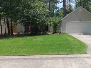 Lisa T.'s Lawn Mowing service result