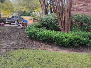 Bush Trimming by Zachary Pilley for David S G. in Baton Rouge, LA
