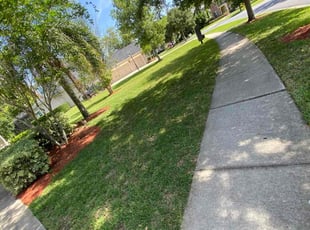 Leaf Removal by Roberto Dieuveut for Ahmad S. in Ponte Vedra Beach, FL
