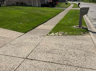 Md M.'s Grass Cutting service result