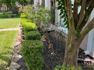 Leaf Removal by Blayke Elder for Brandie J. in Spring, TX