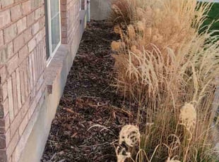 Weeding by David Sherwood for Bryan L. in West Jordan, UT