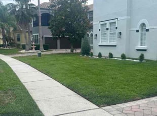 Mani N.'s Grass Cutting service result