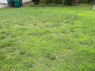Bush Trimming by Mark Williams for Carmen E. in Little Rock, AR