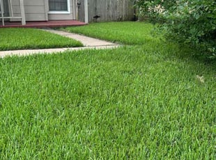 Taylor J.'s Yard Cutting service result