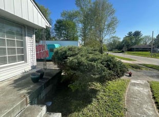 Bush Trimming by Anthony Grant for Angela H. in Indianapolis, IN