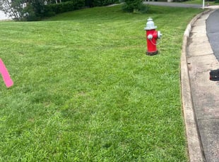 Bush Trimming by Alesandre Duarte for Thanaphon T. in Reston, VA