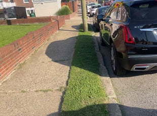 Cleanups by Markese Seals for Maria G. in Philadelphia, PA