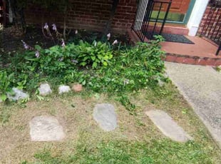 Bush Trimming by Antonio Padilla for Jacquelyn P. in Silver Spring, MD