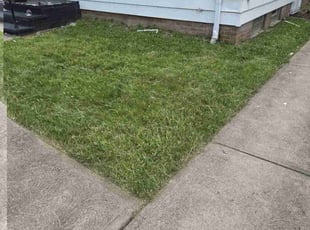 Cleanups by Jonathan Negron for Ronny J. in Maple Heights, OH