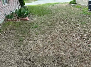 Cleanups by Patrick Stewart for Mohammad Z. in Melissa, TX