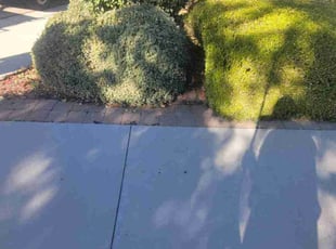 Leaf Removal by Delbert Jones for Carol C. in Boise, ID